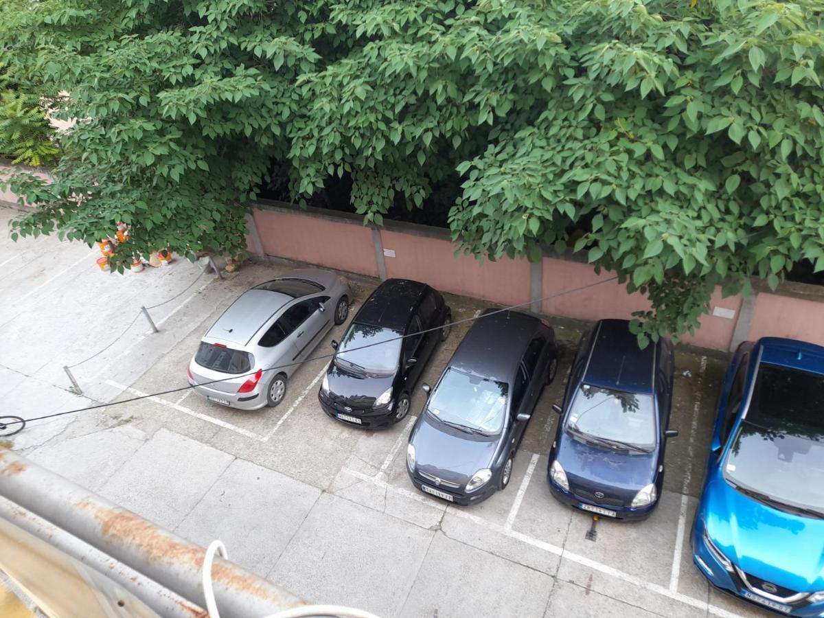 Nikola Ns Lejlighed Novi Sad Eksteriør billede