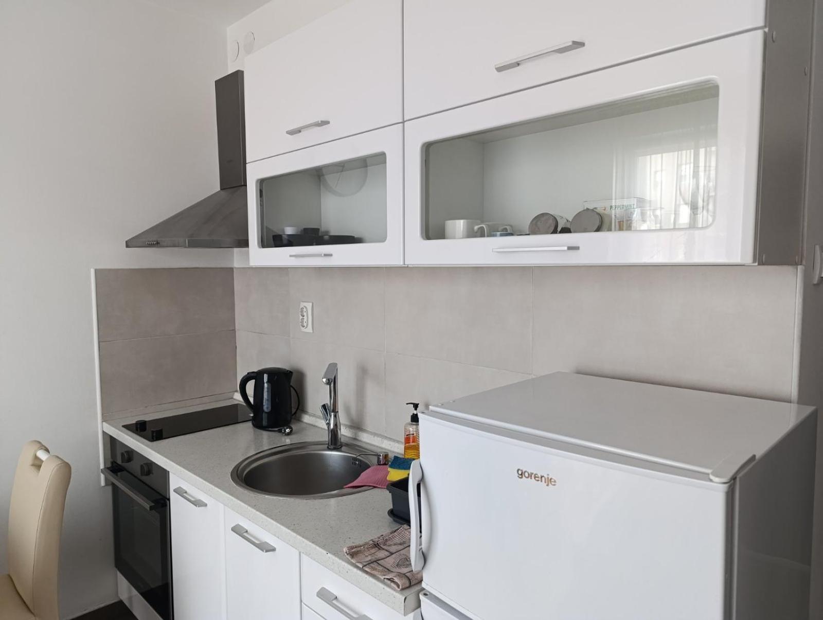 Nikola Ns Lejlighed Novi Sad Eksteriør billede